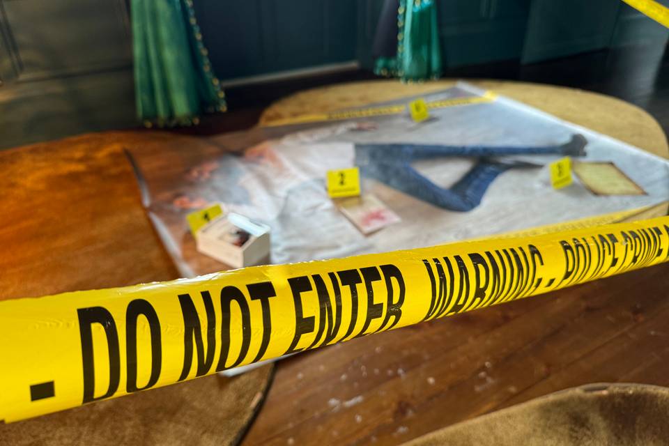 MURDER PARTY