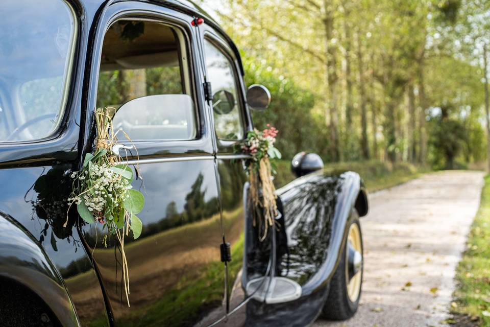 Citroën Traction du domaine