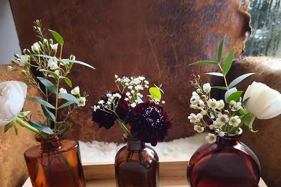 Fleur de Mooneya