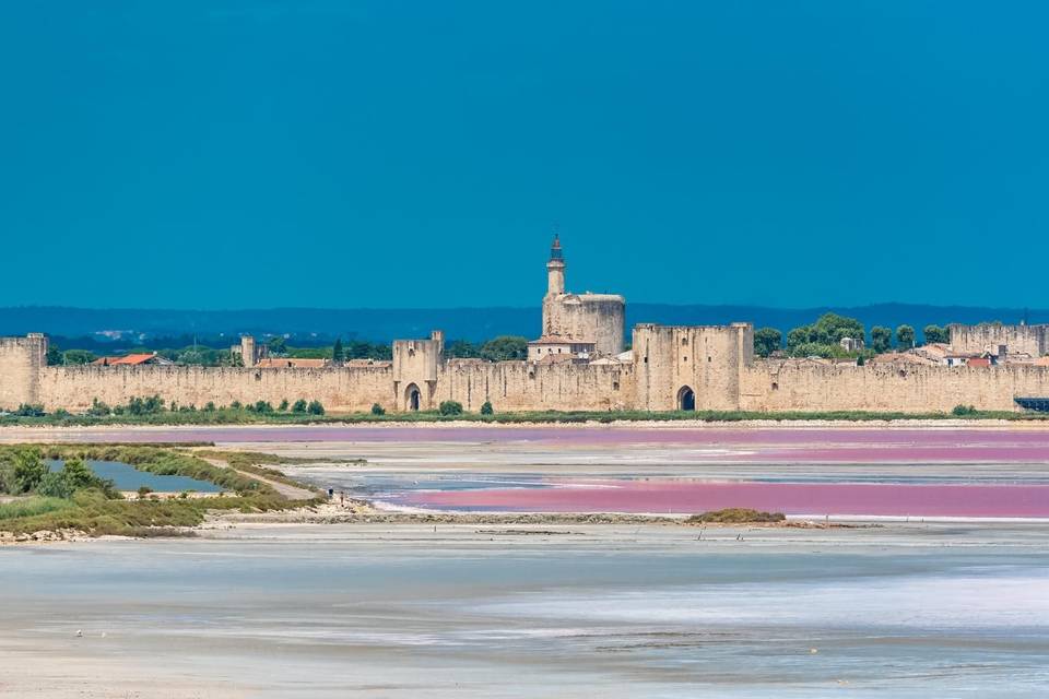 Région