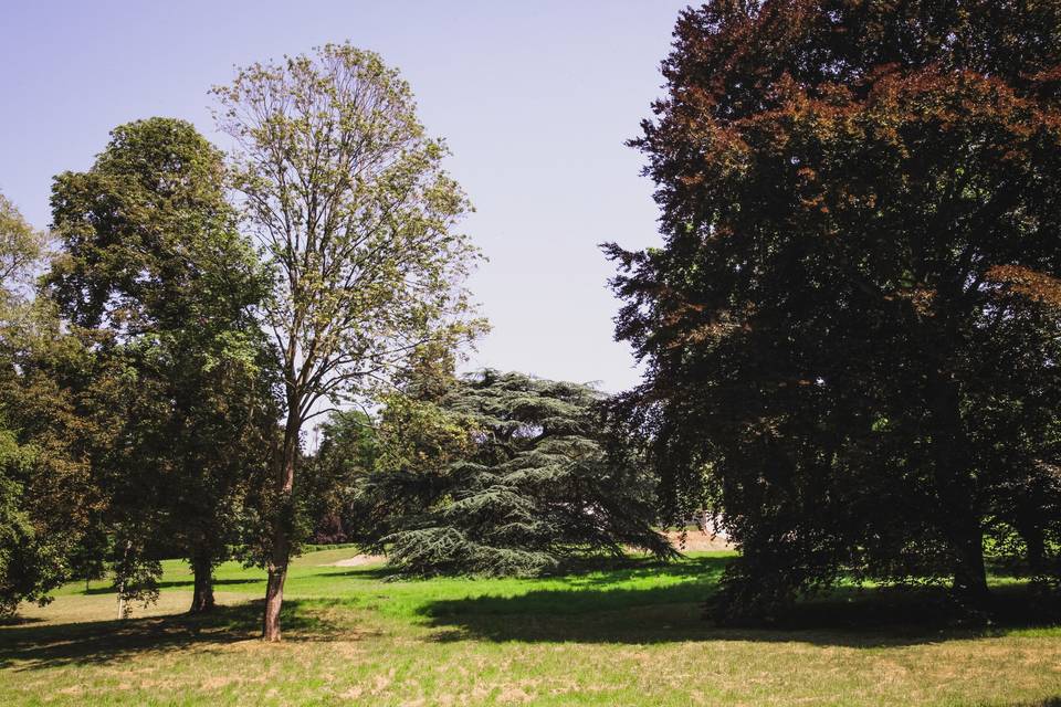 Parc du domaine