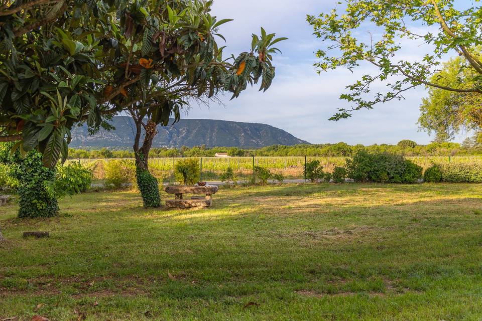 Vue Luberon