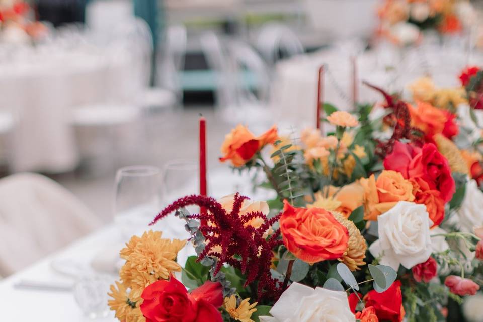 Jennifer Collado Events & Co
