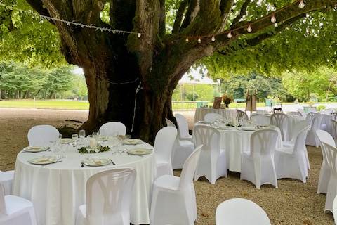 Diner sous le grand tilleul