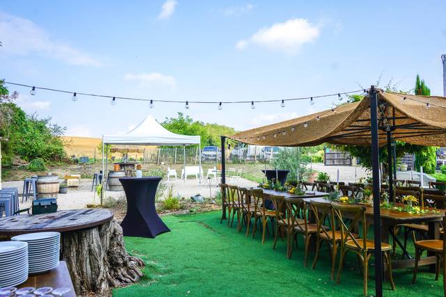 La terrasse🌿