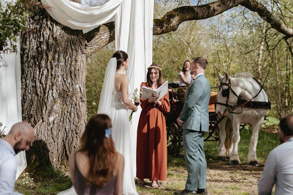 Officiante Marine Animea