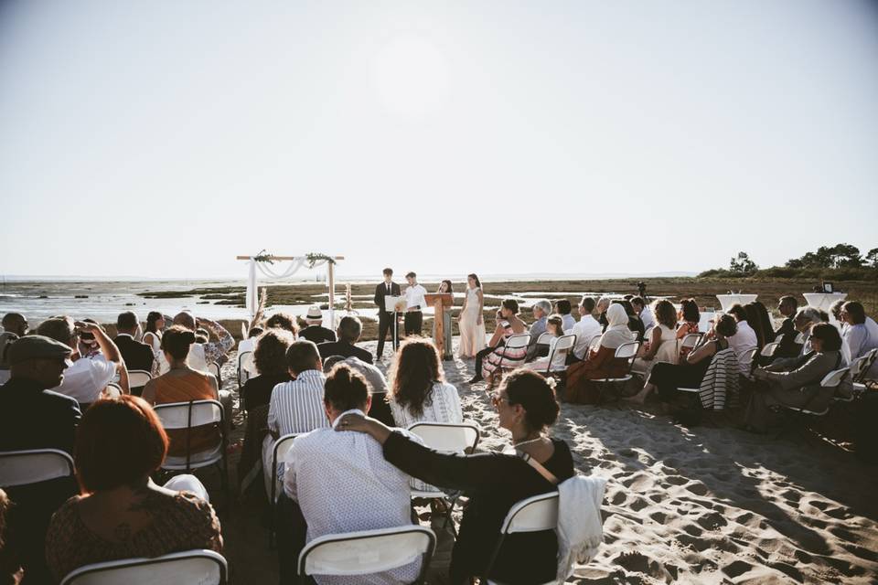 L'ours de la lune photo