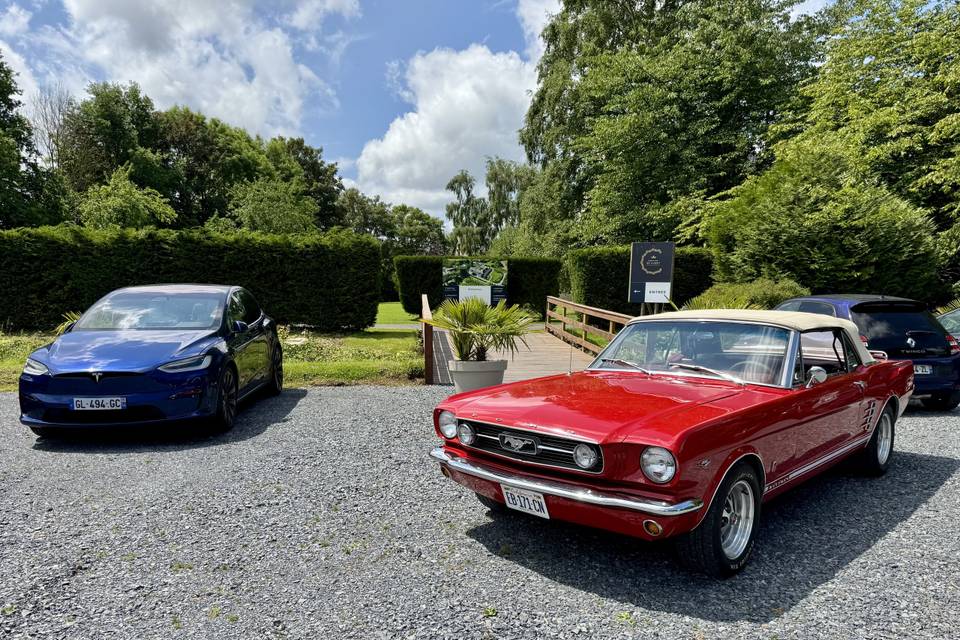 Mustang cabriolet 66