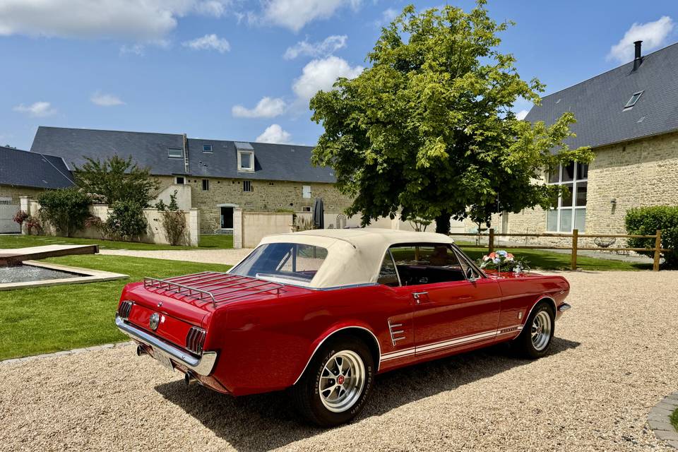 Mustang cabriolet 66