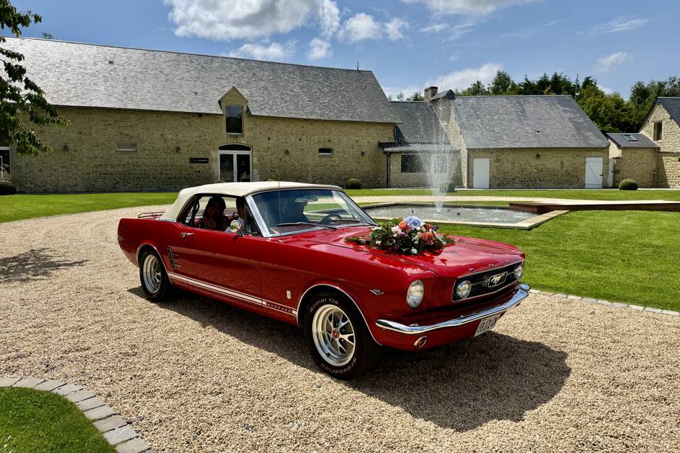 Mustang cabriolet 66
