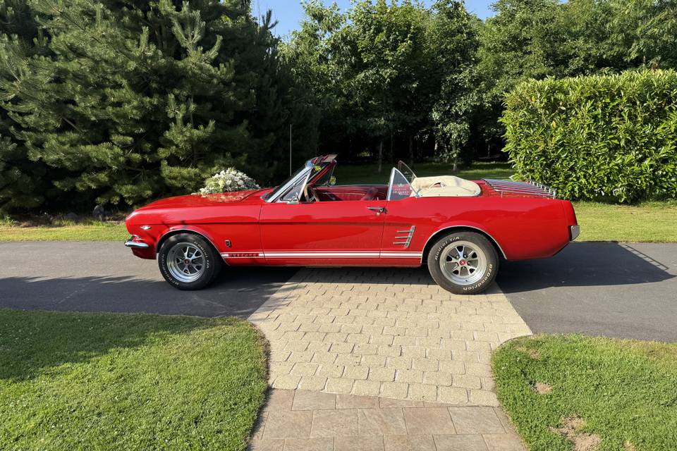 Mustang cabriolet 66