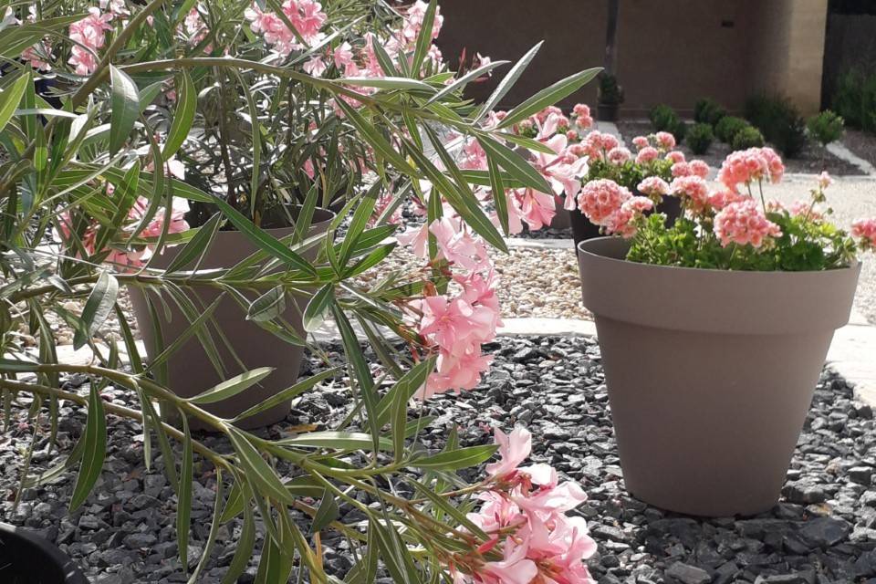 Les Jardins du Bouquet