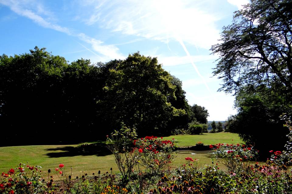 Le parc, les fleurs