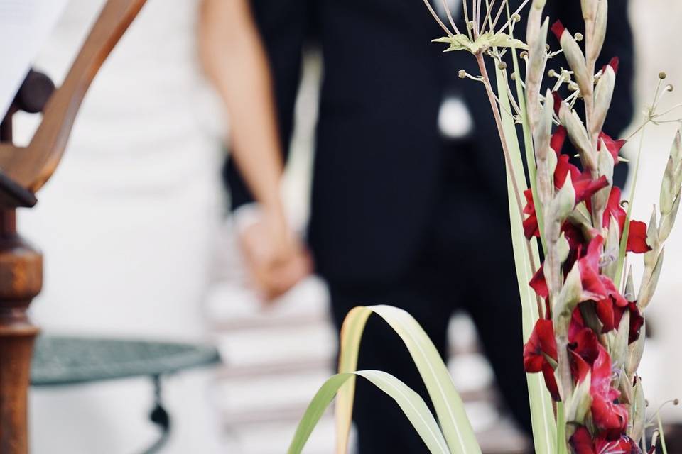 Your Wedding Momentum
