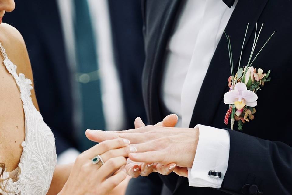 Your Wedding Momentum