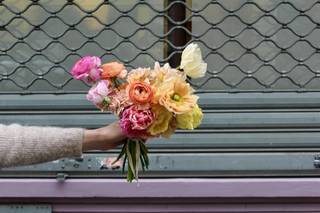 Lisa Flwrs