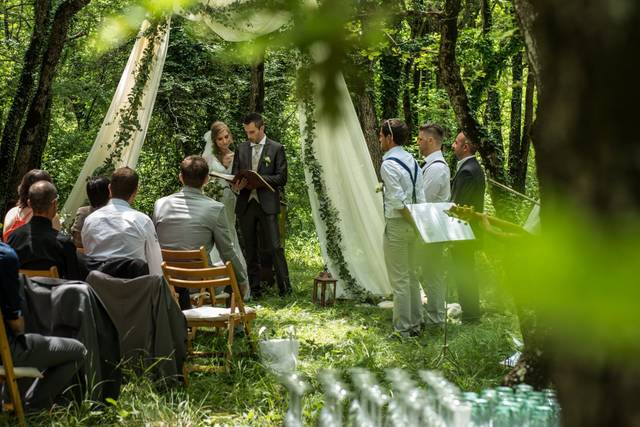 Dans les bois
