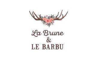 La brune & le barbu