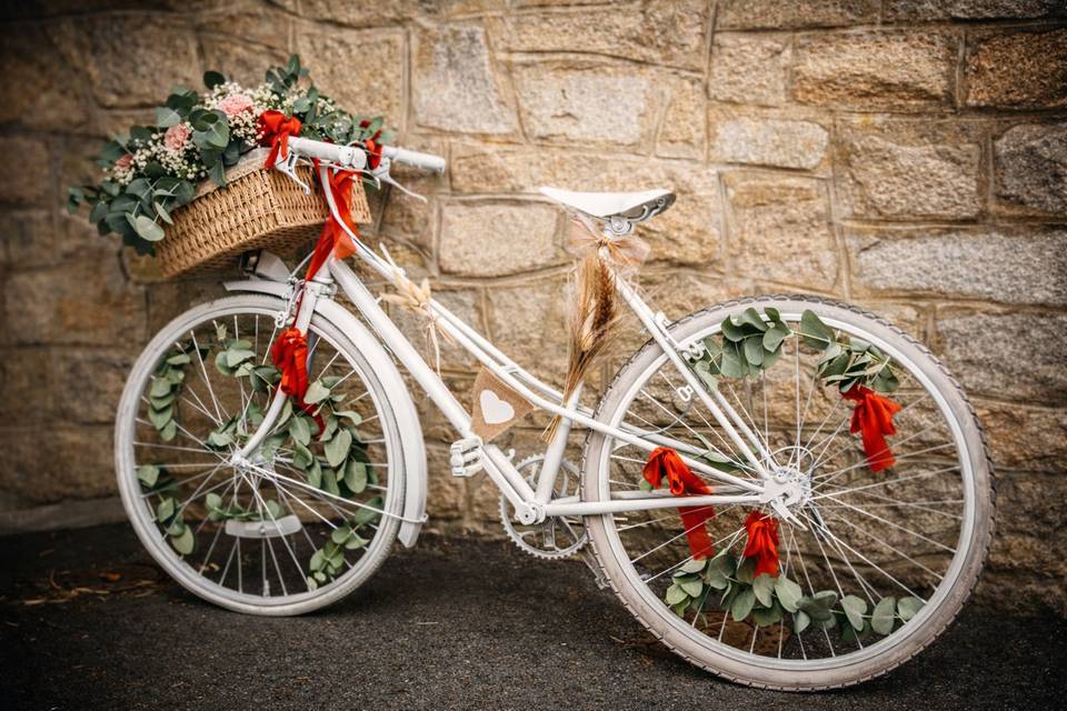 Vélo champêtre terracota