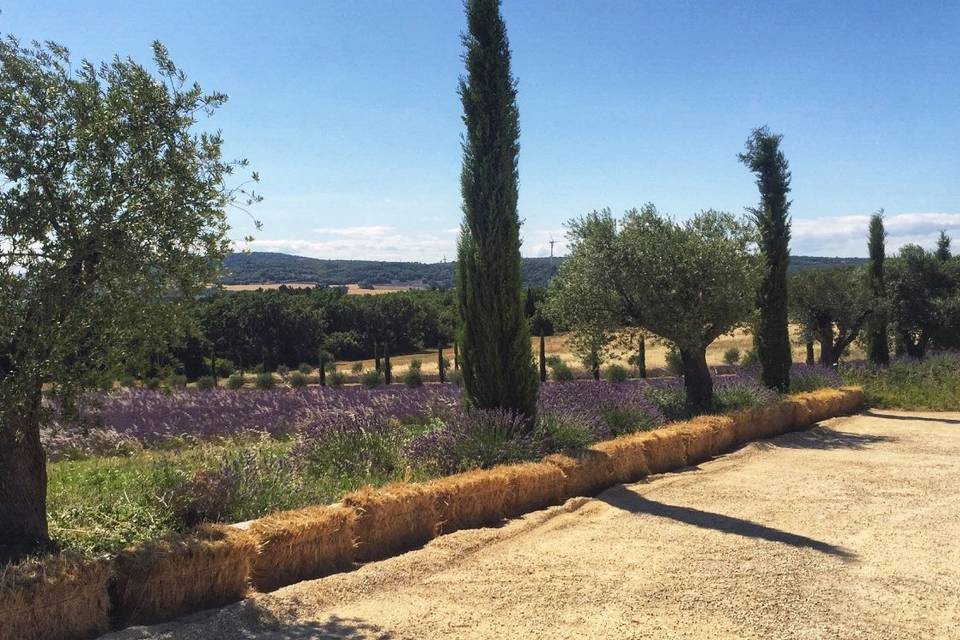 La Clairière du Domaine des Grillons