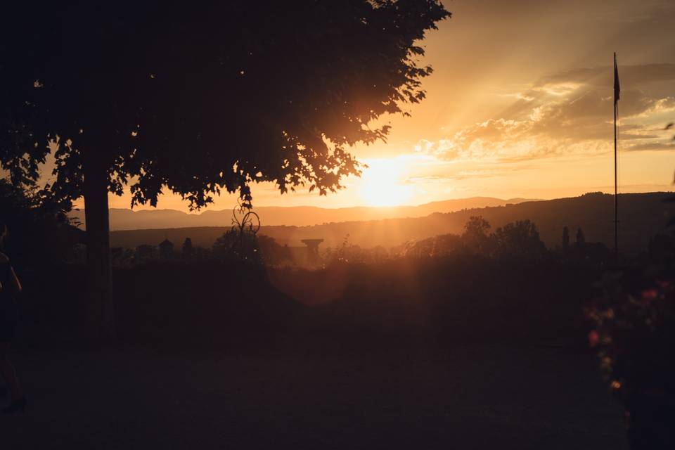 À Petits Pas - Marlène Photographies