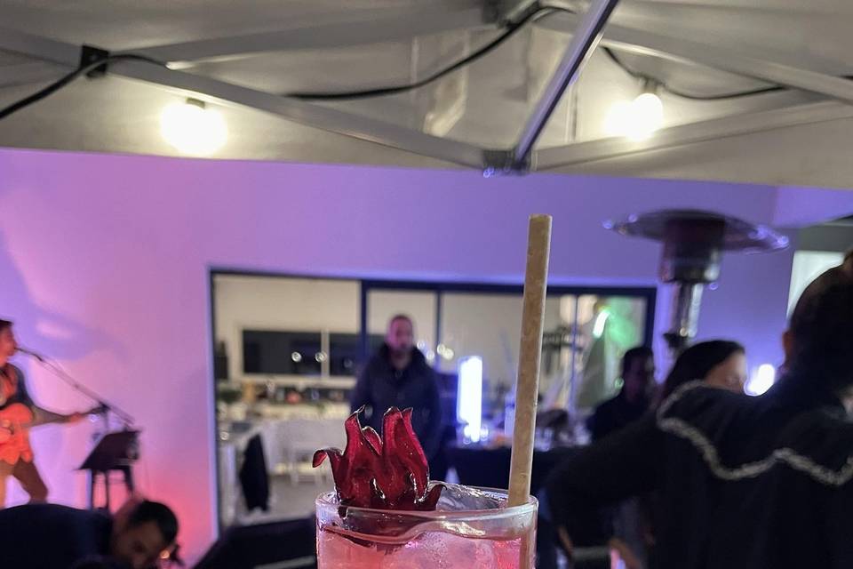 Rolling Bar Cocktails