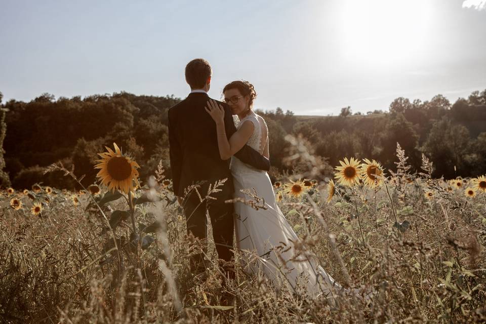 Tournesols