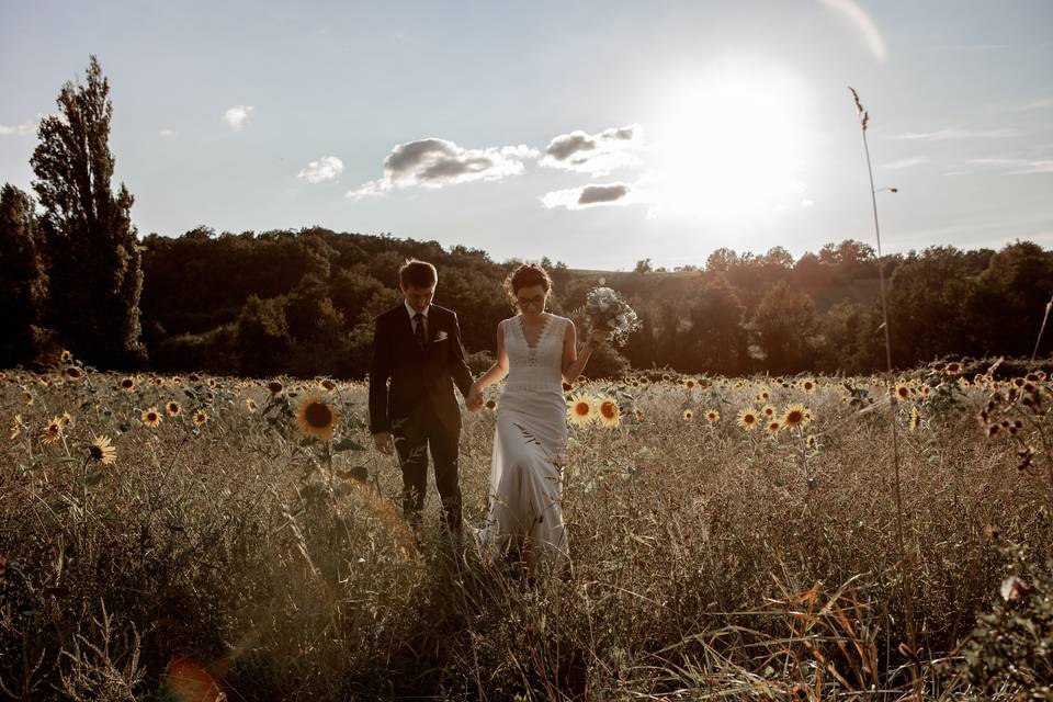 Tournesols