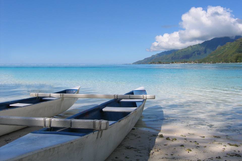 Plage paradisiaque