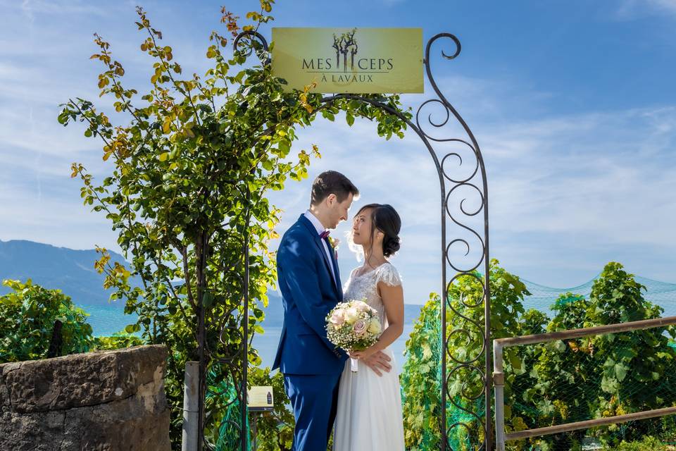 Sous une arche de vigne