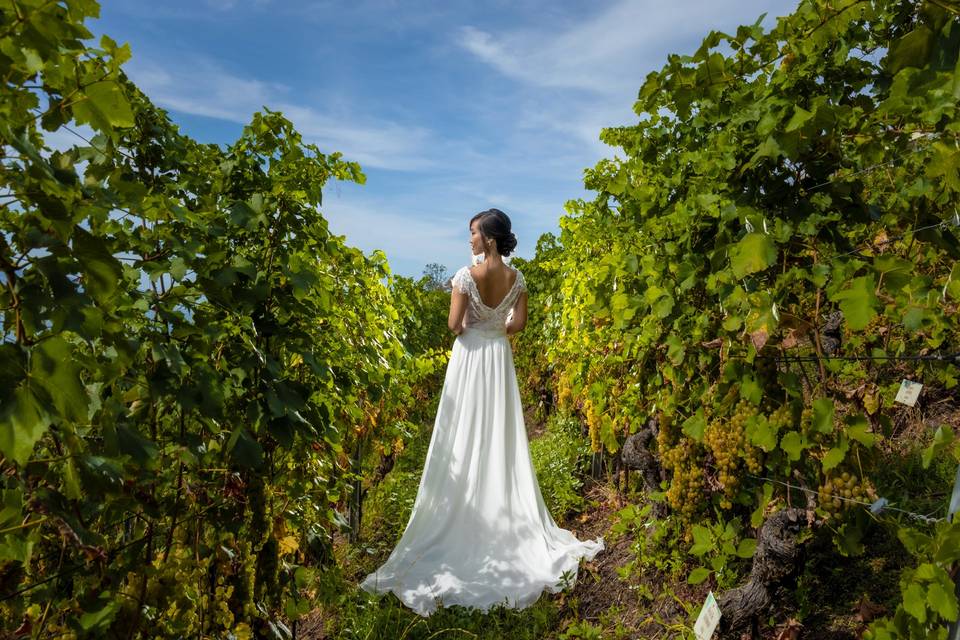 Liliane de dos dans les vignes