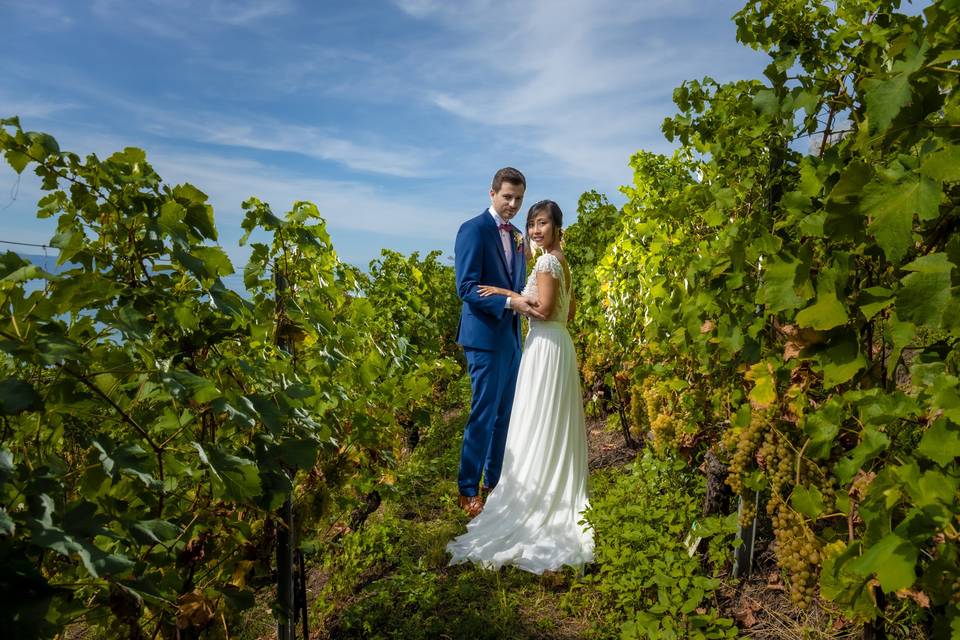 Face à face dans les vignes