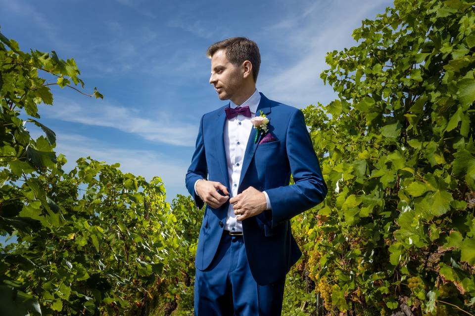 Le marié dans les vignes