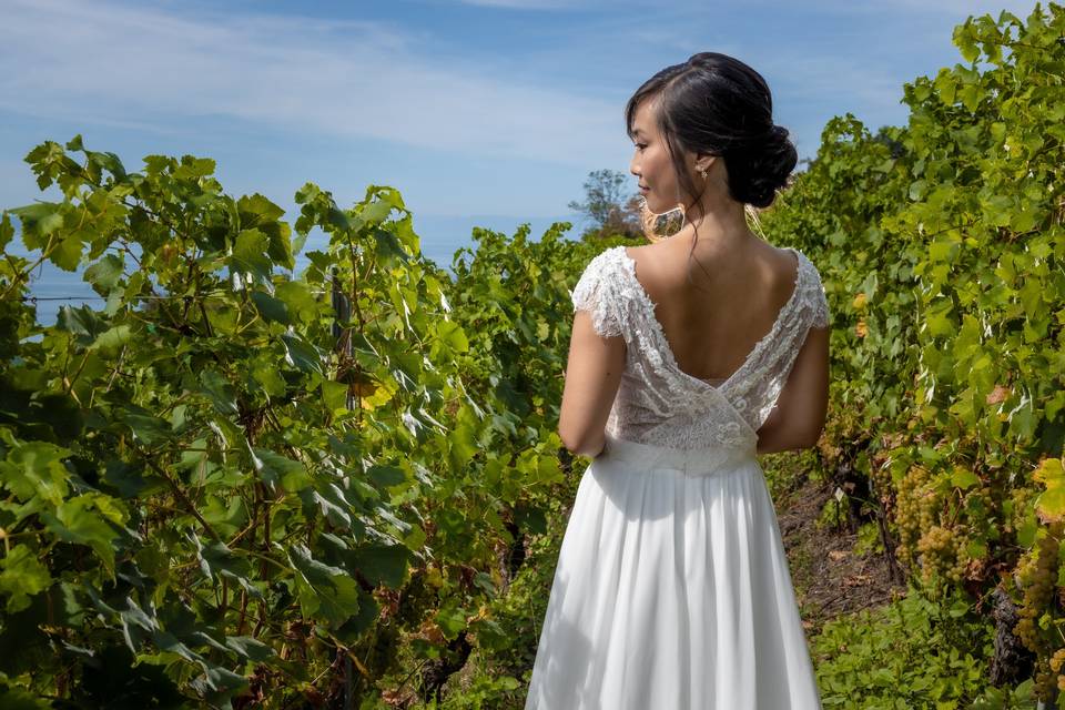 Dentelle dans les vignes