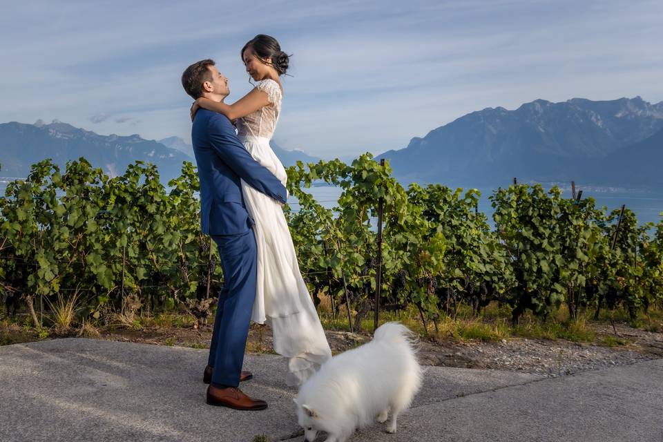 Le chien bondit avec eux