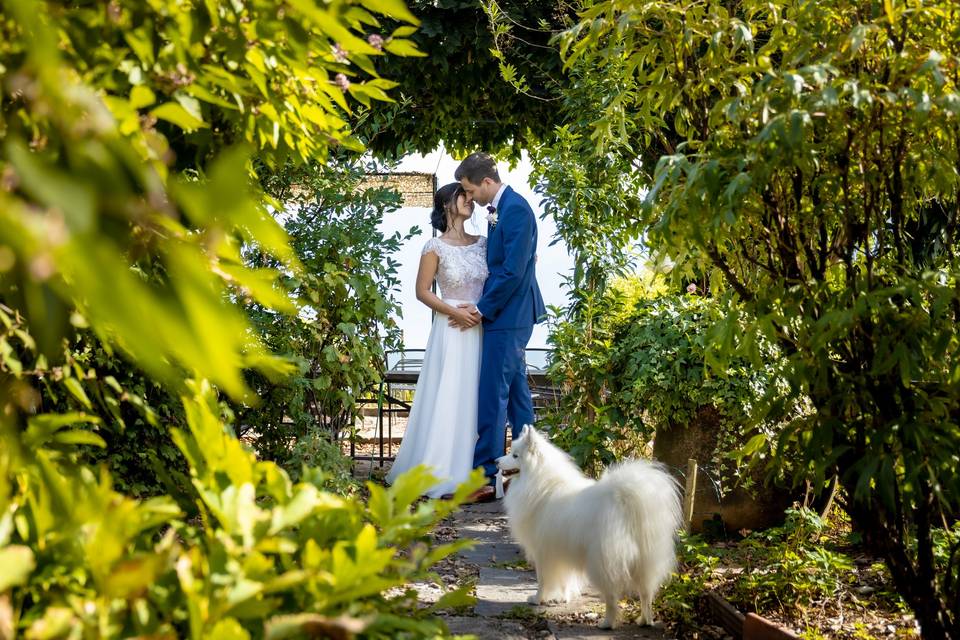Le petit chien blanc