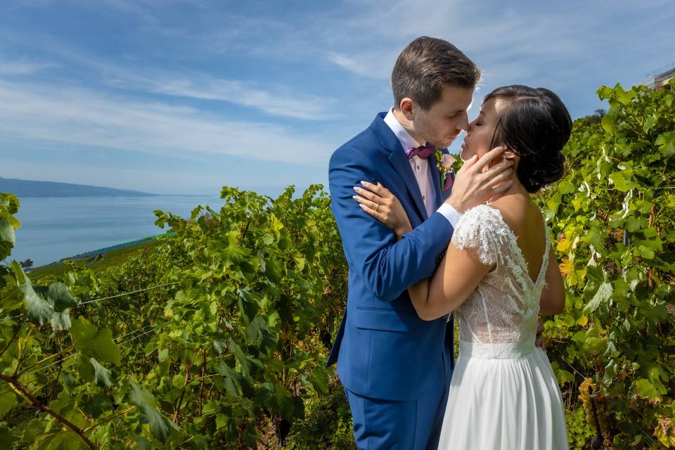 Vignes de Lavaux, à Chexbres