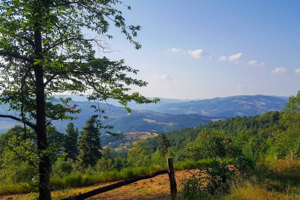 Vues sur les monts d'Ardèche