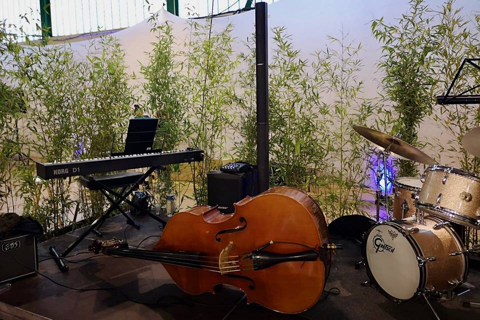 Rio Jazz Vibes