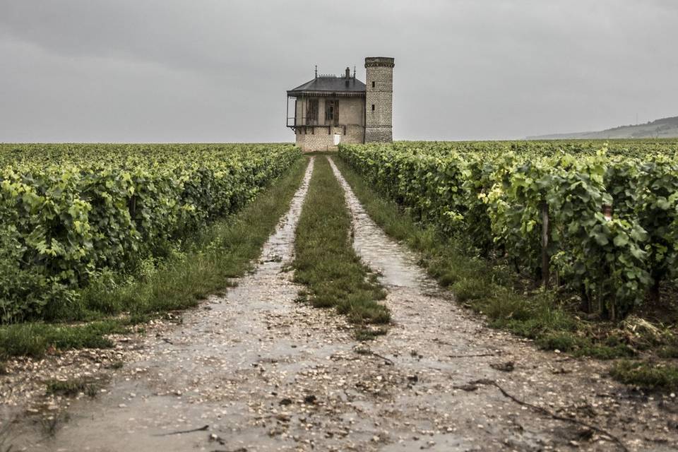 Clos Vougeot