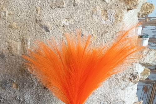 Plumeaux orange