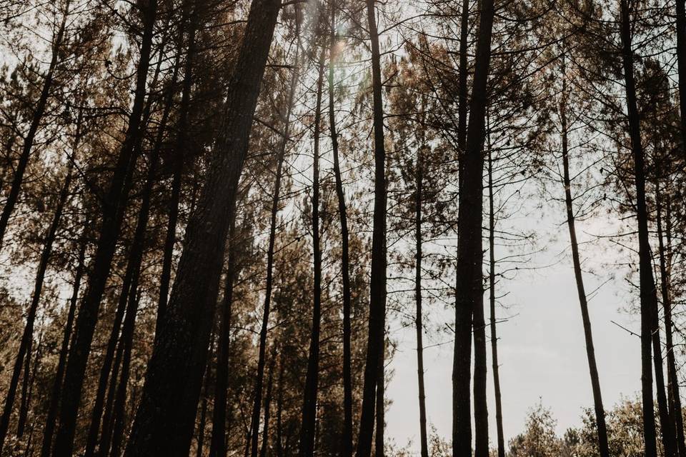 Brasserie de Lugazaut