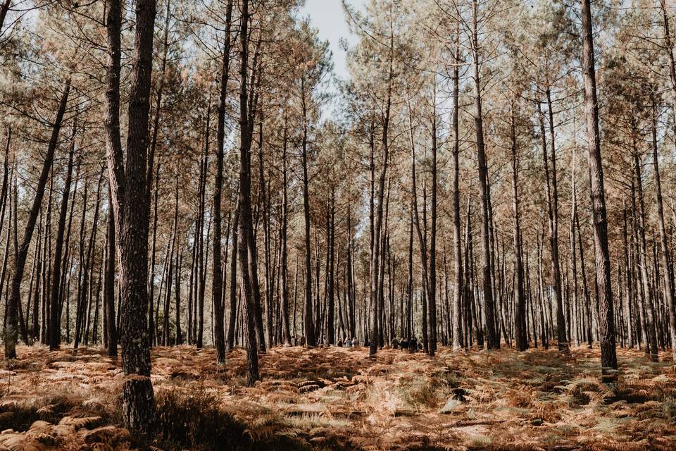 Brasserie de Lugazaut