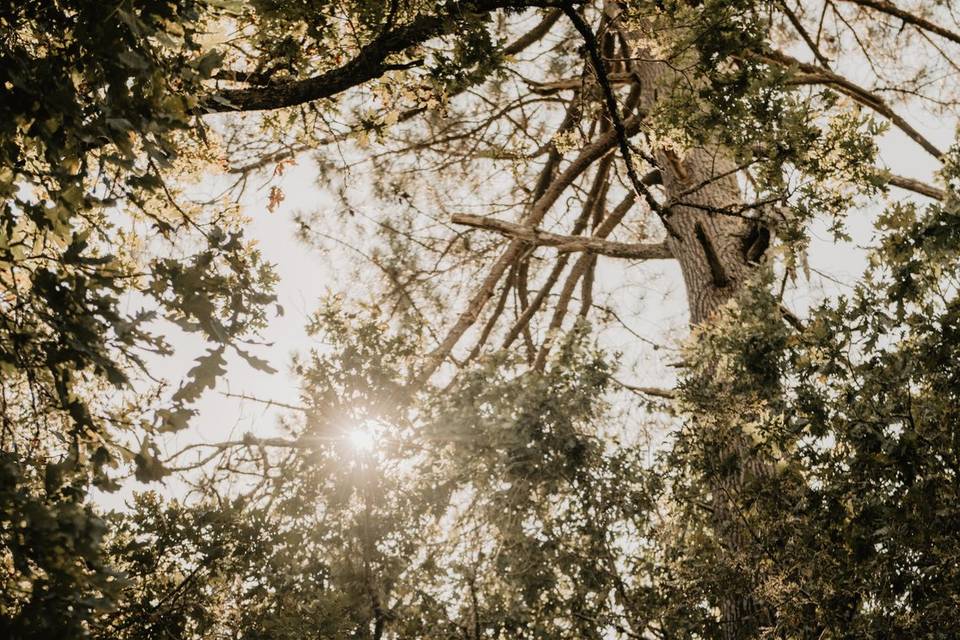 Brasserie de Lugazaut