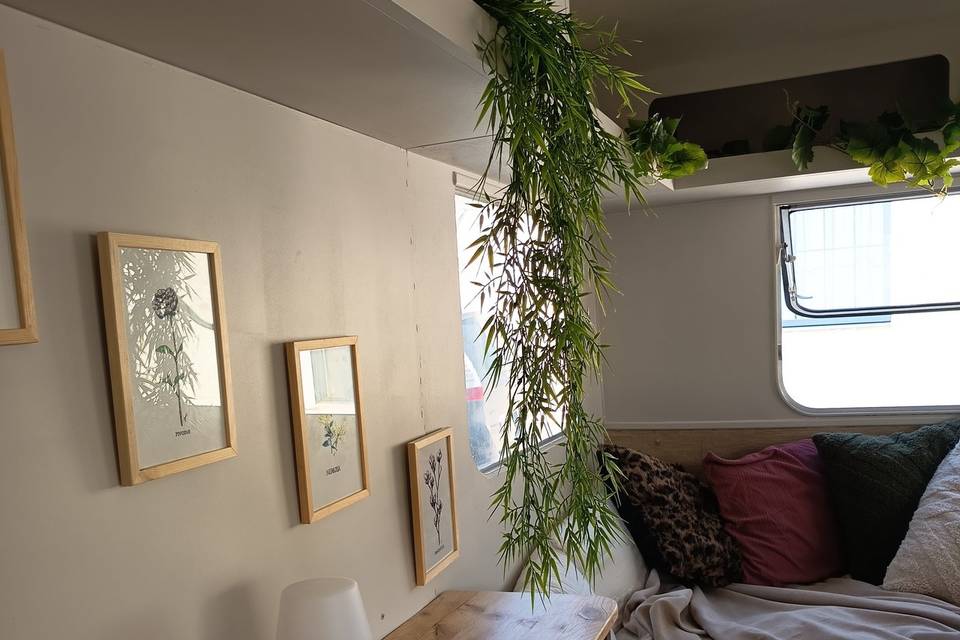 Photovane