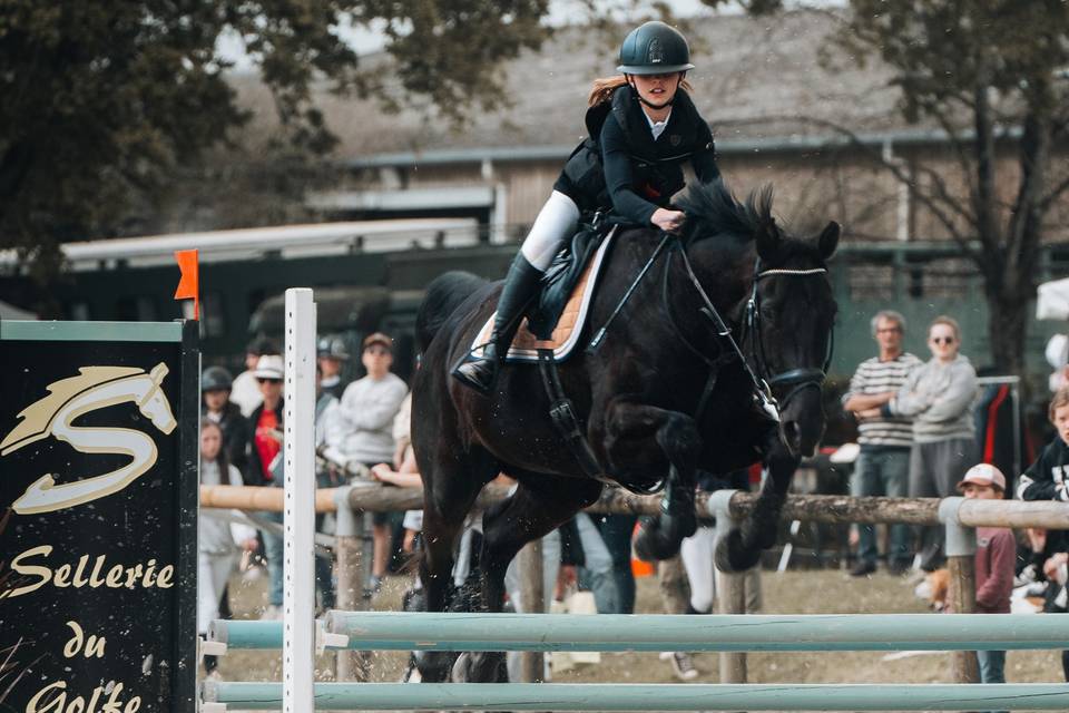 Concours haras hennebont