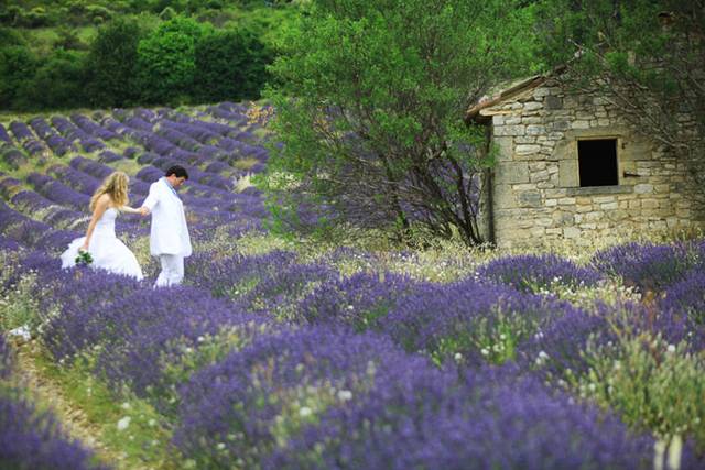 Ma Provence