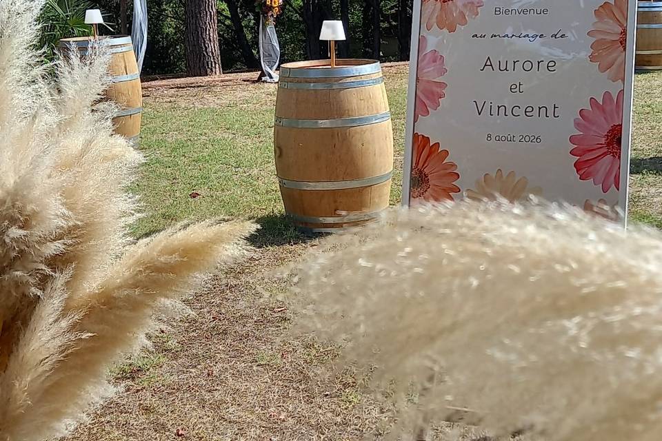 Pampas