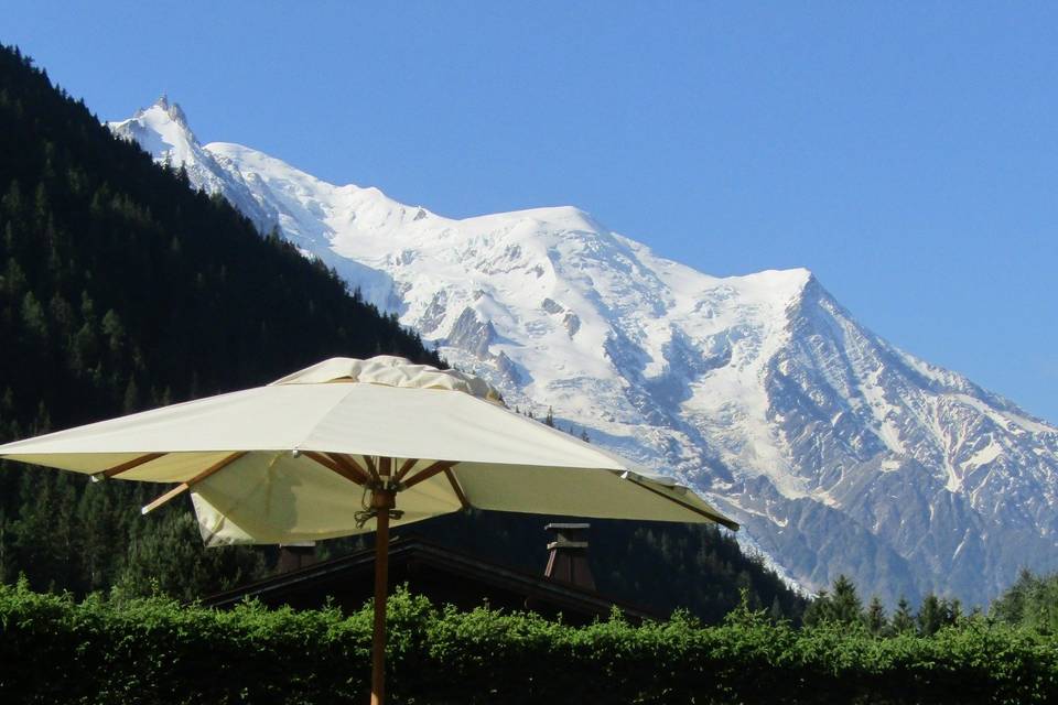 Vue Mont Blanc