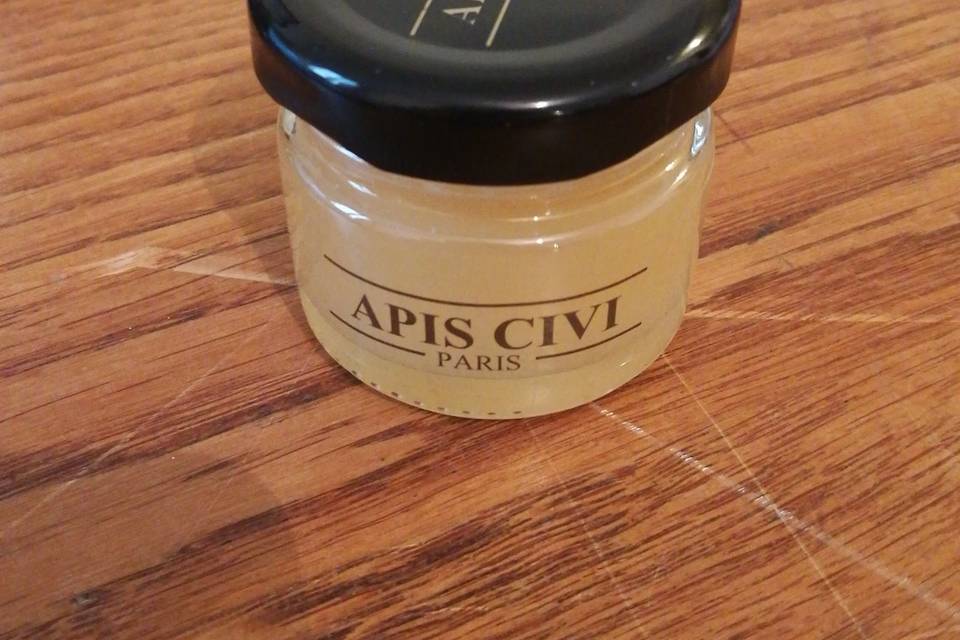 Apis Civi